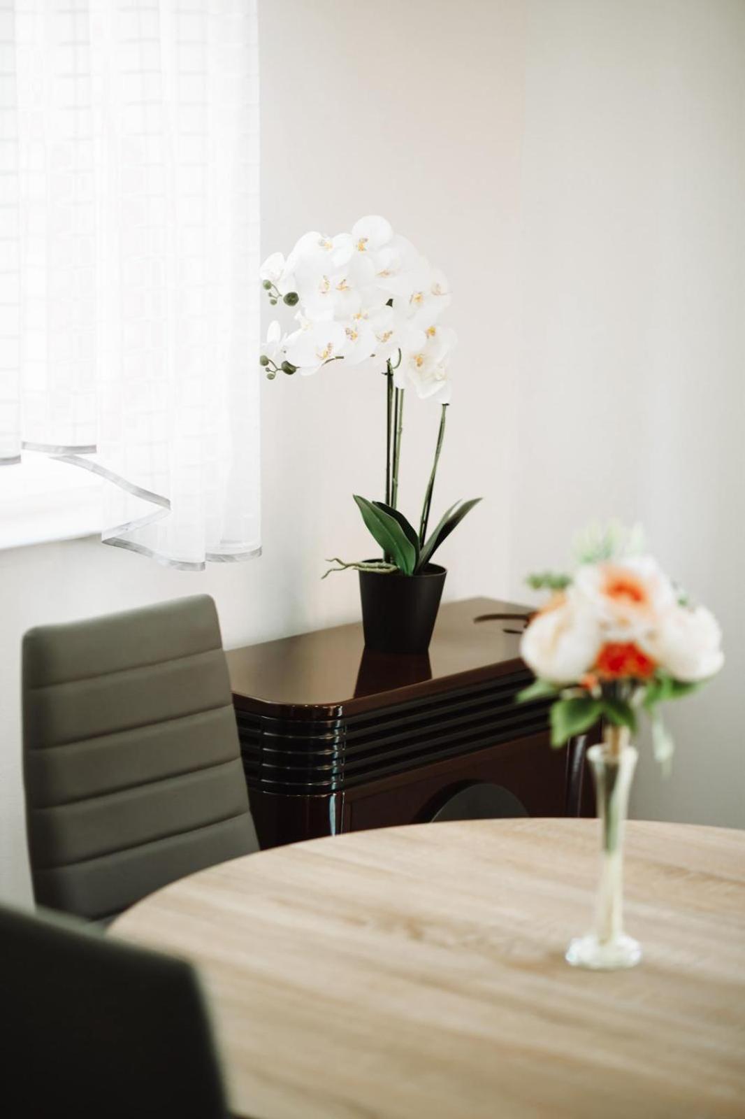 Apartman Sunny Hills Krapina Exterior photo